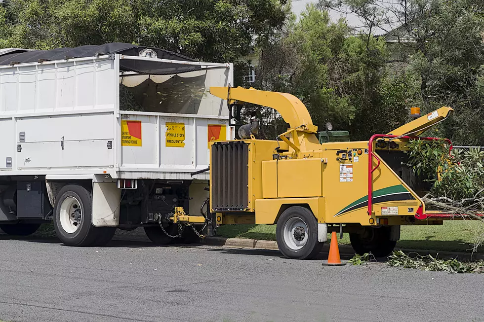 How to Generate Tree Service Leads: Top 25 Tree Service Marketing Ideas to Get More Tree Service Jobs