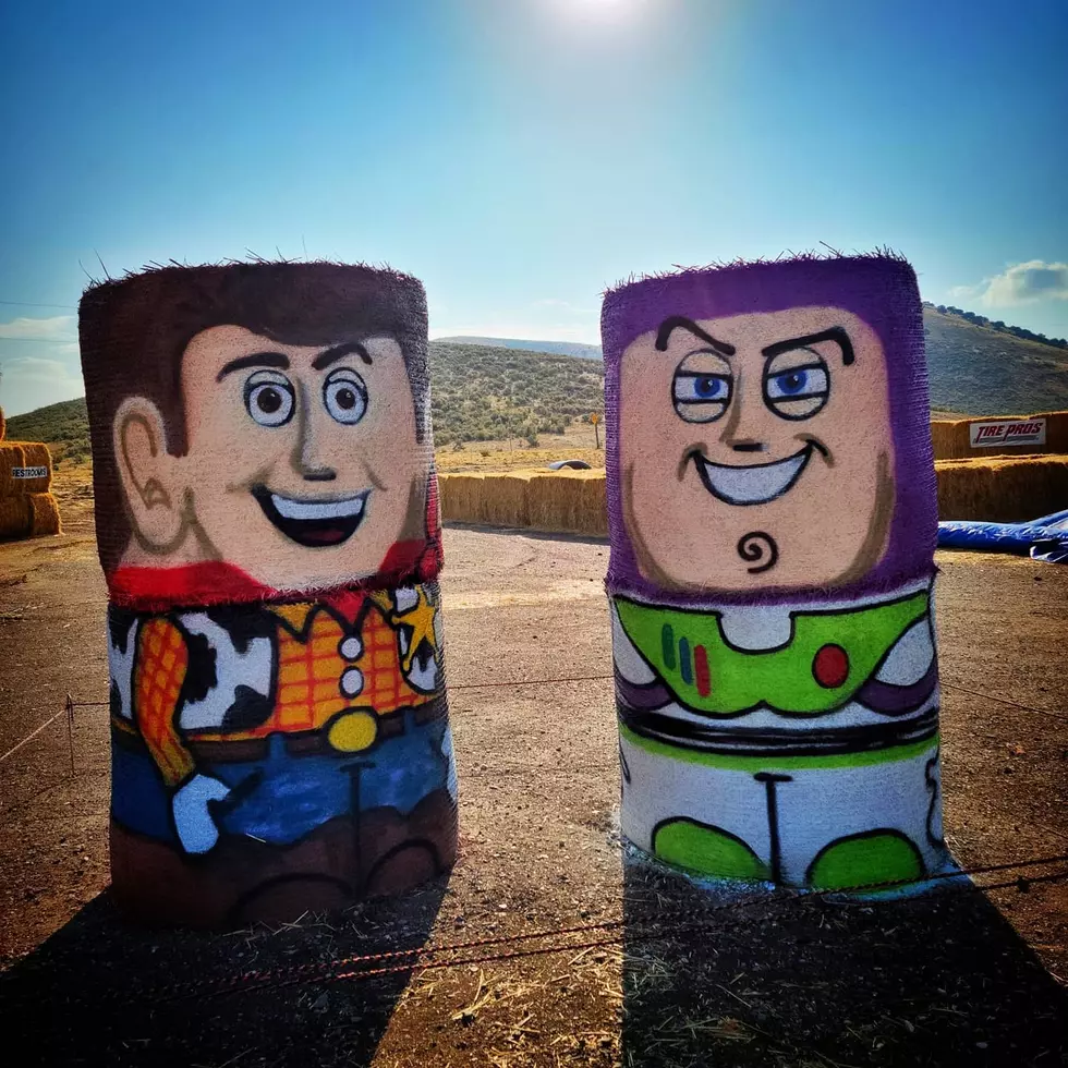 Hang Out With Toy Story Gang At Burley Straw Maze