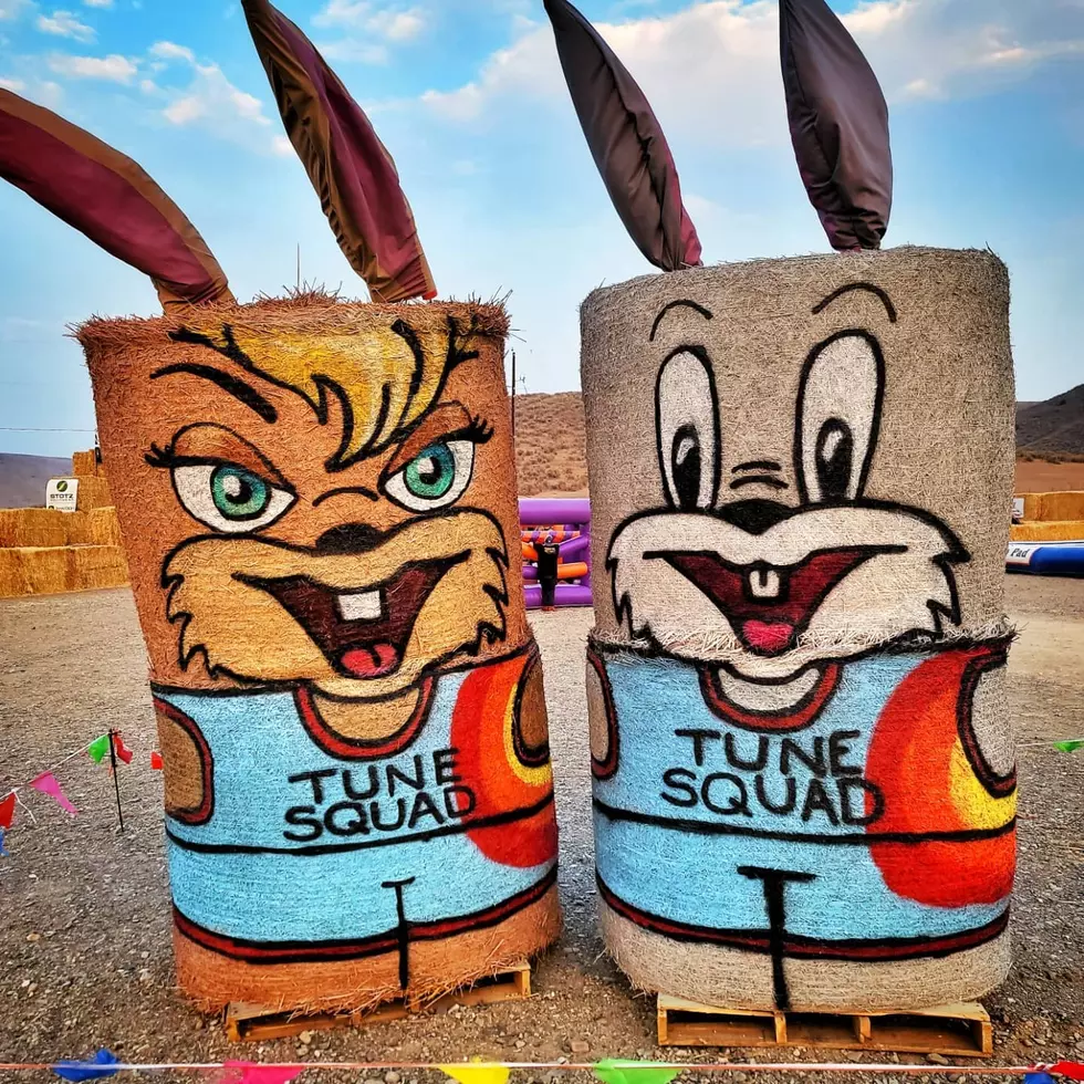 The “Looney” Burley Straw Maze Is Going To Be Epic Fall Fun