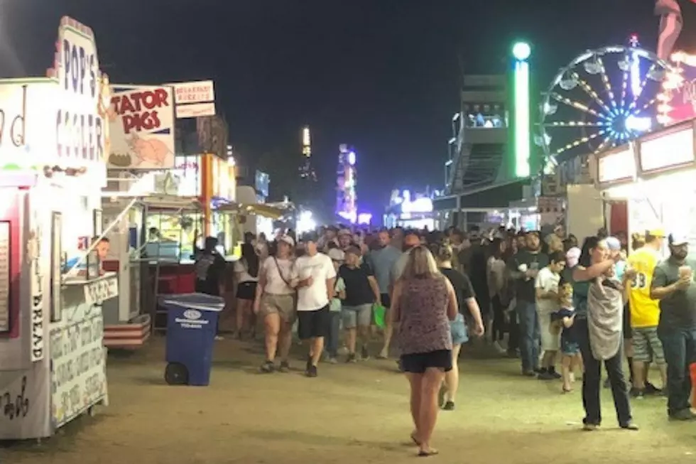 7 Things You May Have Missed at the Twin Falls County Fair this Year