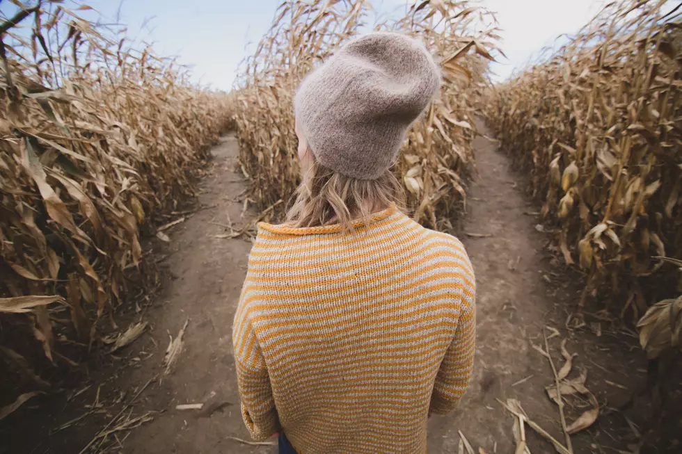 The Magic Valley Corn Maze Reveals Design For 2023 Haunted Maze