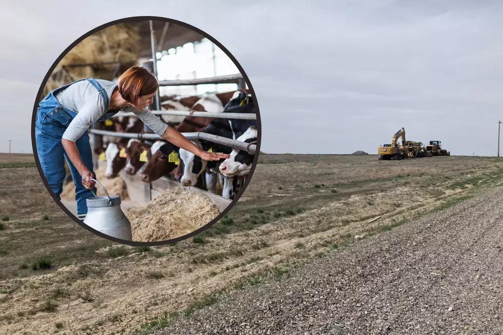 Southern Idaho College Will Soon Be Home To America’s Largest Research Dairy
