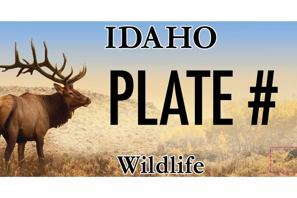 Credit Idaho DMV