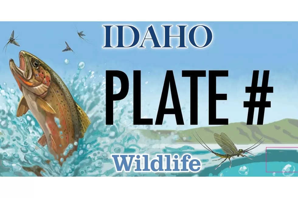 Credit Idaho DMV