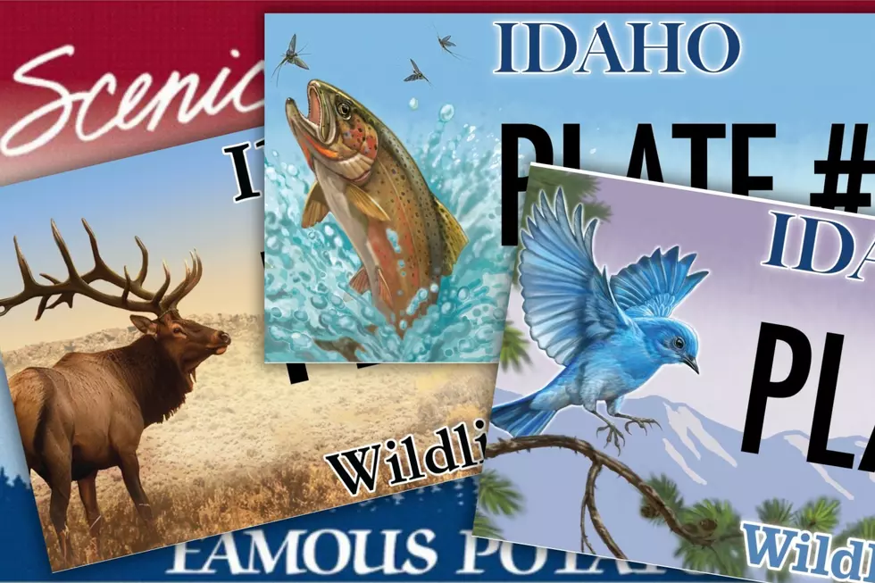 Here’s What the 3 New Idaho License Plates Will Look Like