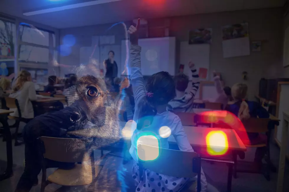 Police Investigate Threats Against Schools Across Idaho