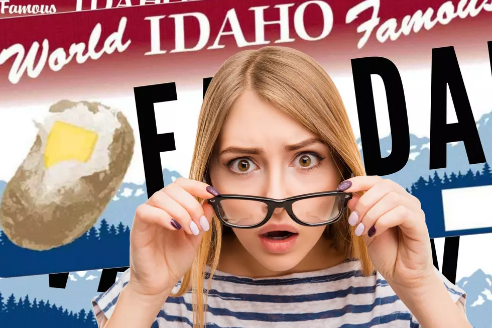 40 of the Most Offensive Rejected Idaho License Plates from 2024