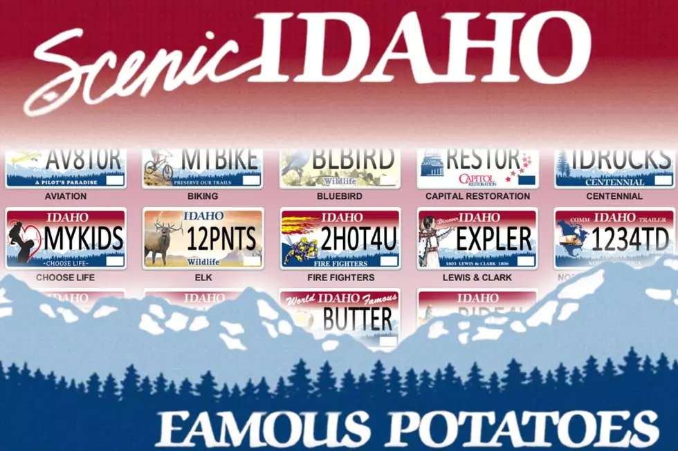 What Will The 5 New Idaho License Plates Look Like?