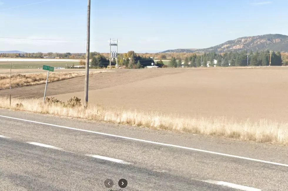 Suicidal Suspect Surrenders After Standoff in Southern Idaho Field