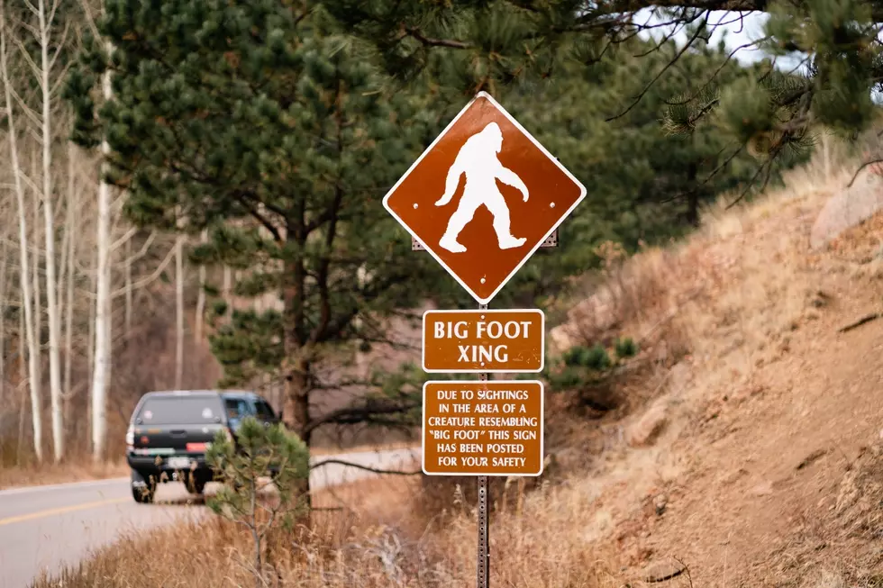 These Videos Show What Bigfoot Life is Like in Idaho