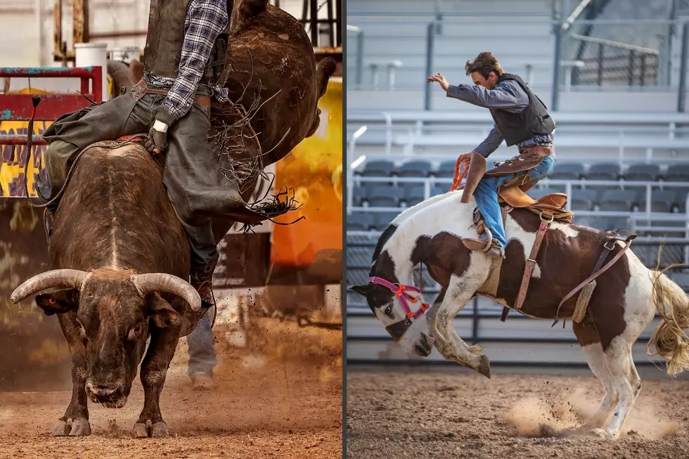 Win Tickets to Cactus Pete’s Bulls and Broncs Event in Jackpot, NV